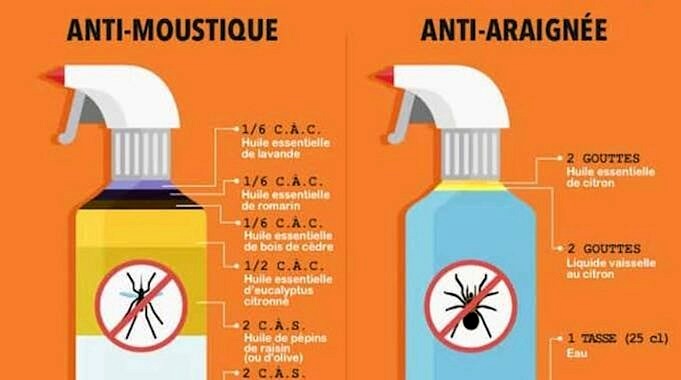 Meilleurs Repulsifs Et Sprays Anti insectes Pour La Securite De Votre Bebe 1