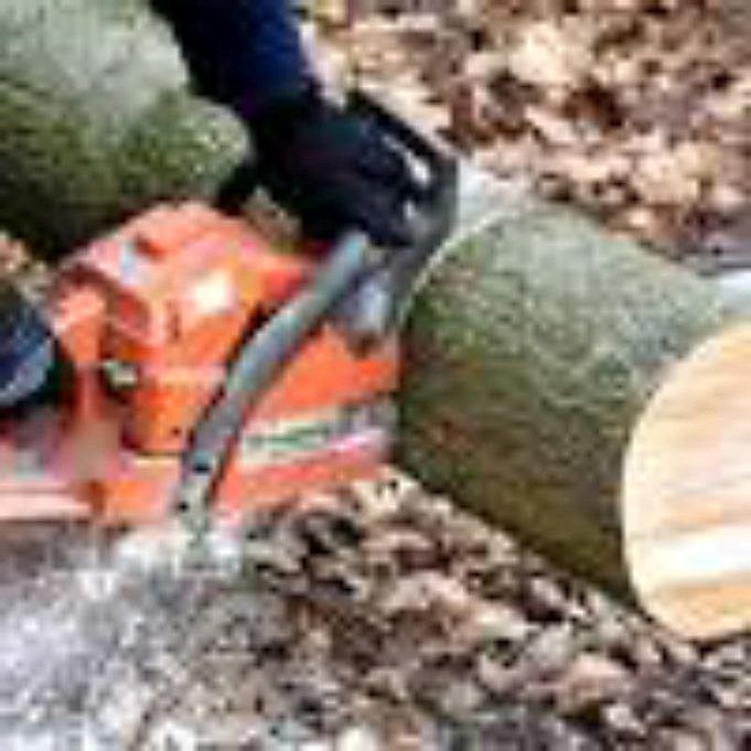 Top 7 Chainsaws For Logging In 2022